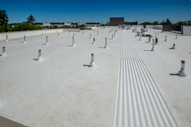 Skylights in Brisbane, CA